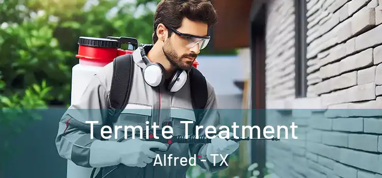  Termite Treatment Alfred - TX