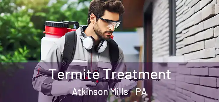  Termite Treatment Atkinson Mills - PA