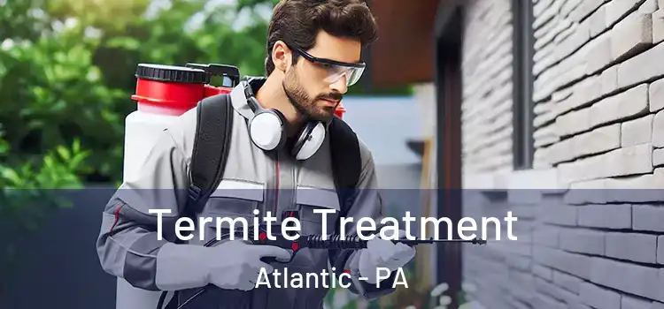  Termite Treatment Atlantic - PA