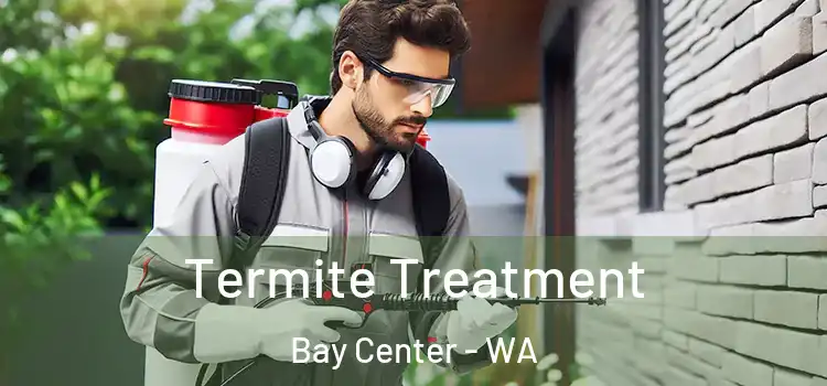  Termite Treatment Bay Center - WA