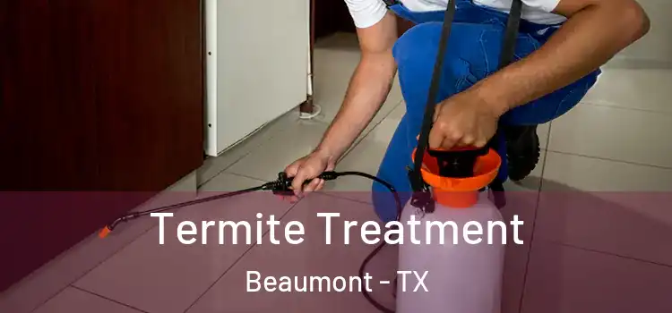 Termite Treatment Beaumont - TX