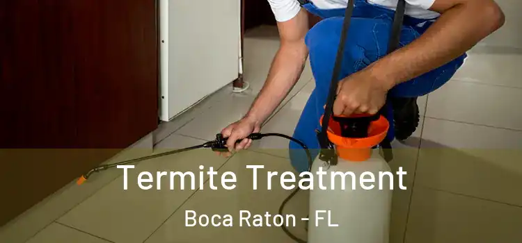  Termite Treatment Boca Raton - FL