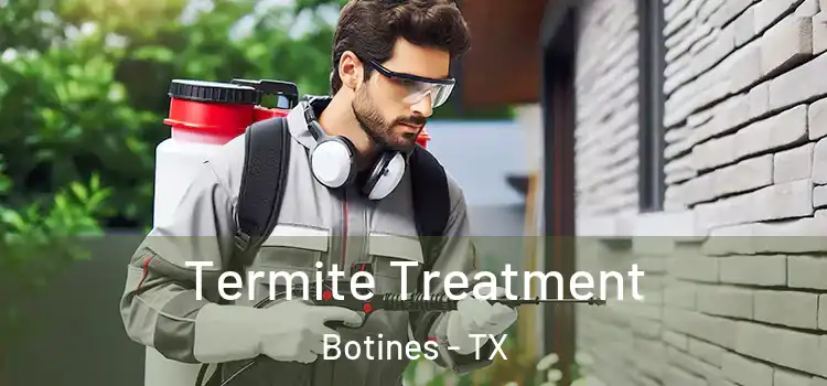  Termite Treatment Botines - TX