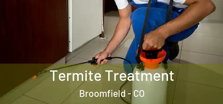 Termite Treatment Broomfield - CO