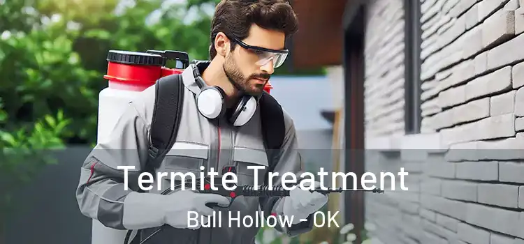  Termite Treatment Bull Hollow - OK