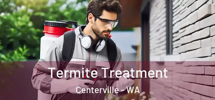  Termite Treatment Centerville - WA