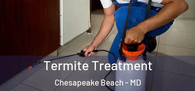  Termite Treatment Chesapeake Beach - MD
