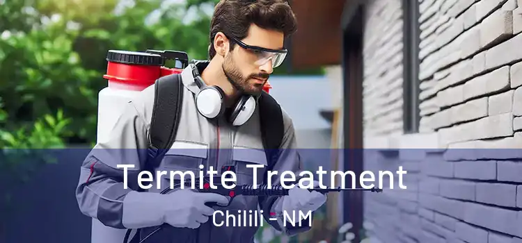  Termite Treatment Chilili - NM