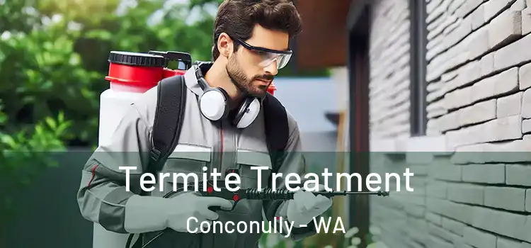  Termite Treatment Conconully - WA
