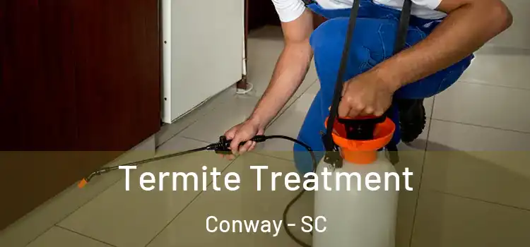  Termite Treatment Conway - SC