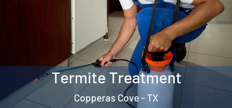 Termite Treatment Copperas Cove - TX