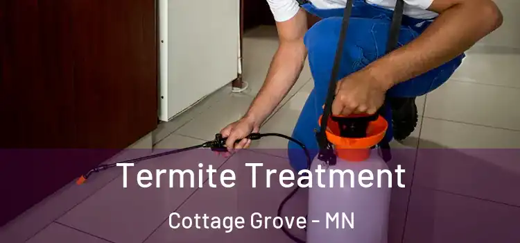 Termite Treatment Cottage Grove - MN