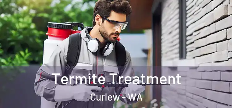  Termite Treatment Curlew - WA