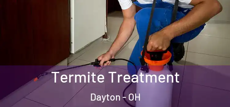 Termite Treatment Dayton - OH