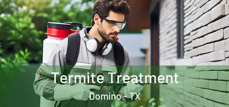  Termite Treatment Domino - TX