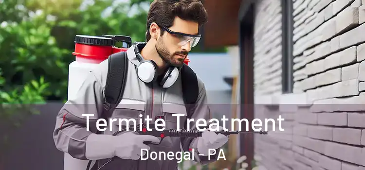 Termite Treatment Donegal - PA