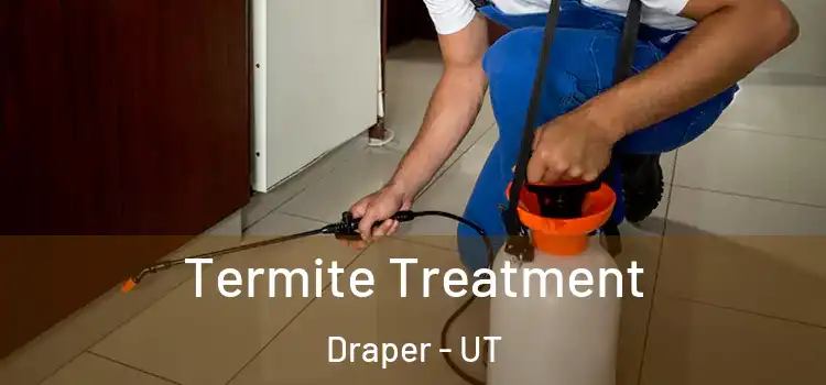  Termite Treatment Draper - UT