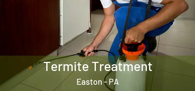  Termite Treatment Easton - PA