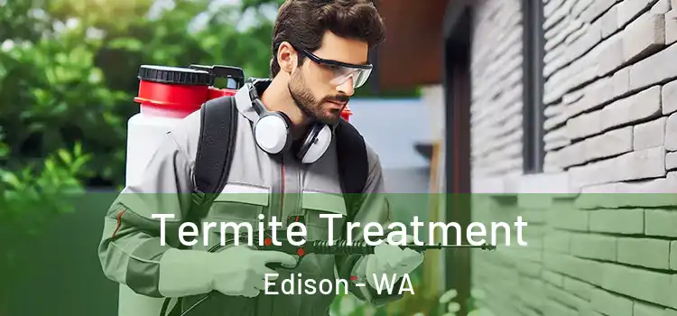  Termite Treatment Edison - WA