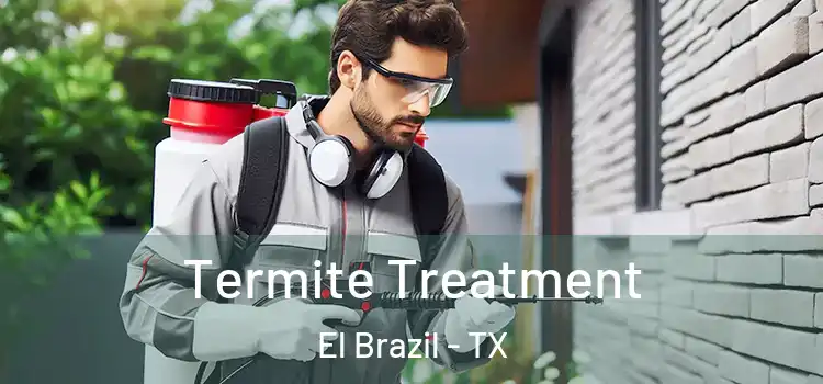  Termite Treatment El Brazil - TX