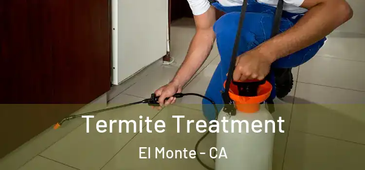  Termite Treatment El Monte - CA