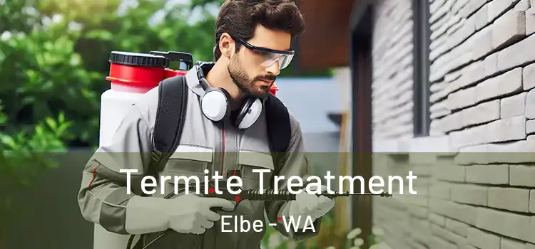  Termite Treatment Elbe - WA