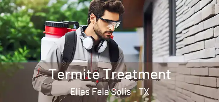  Termite Treatment Elias Fela Solis - TX