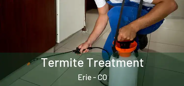Termite Treatment Erie - CO