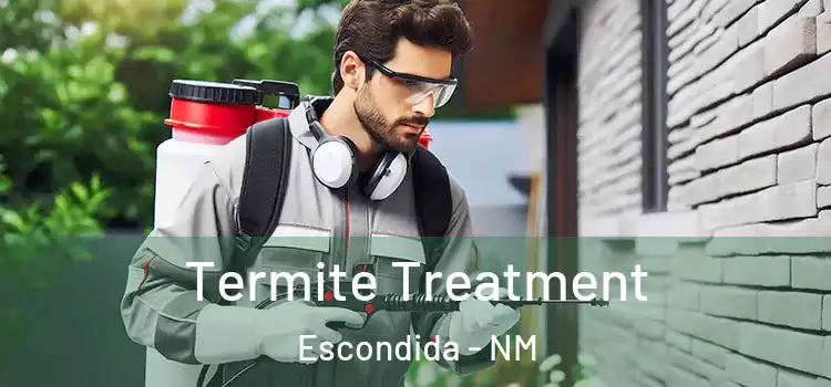 Termite Treatment Escondida - NM