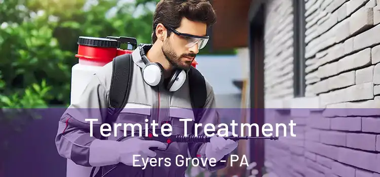 Termite Treatment Eyers Grove - PA