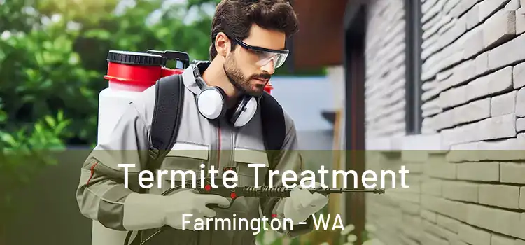 Termite Treatment Farmington - WA