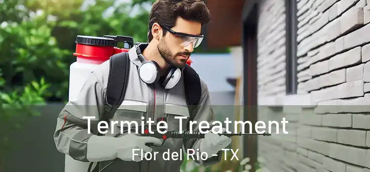 Termite Treatment Flor del Rio - TX