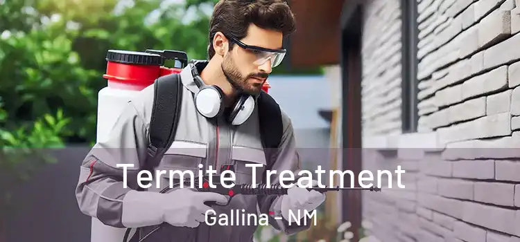 Termite Treatment Gallina - NM