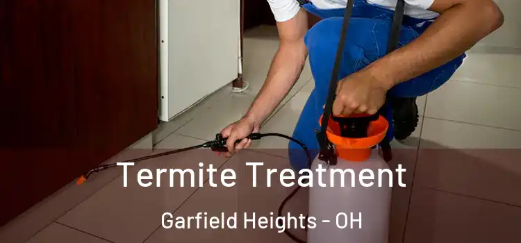 Termite Treatment Garfield Heights - OH
