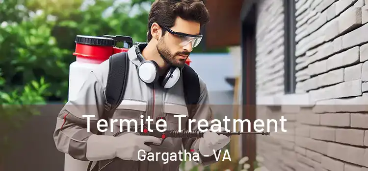  Termite Treatment Gargatha - VA
