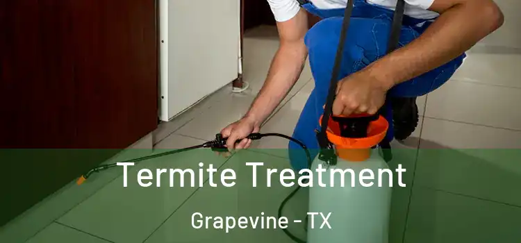 Termite Treatment Grapevine - TX