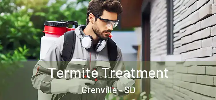  Termite Treatment Grenville - SD