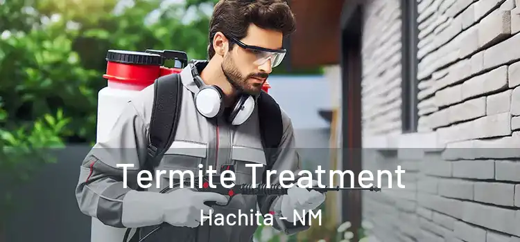  Termite Treatment Hachita - NM