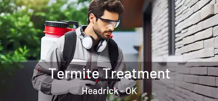  Termite Treatment Headrick - OK