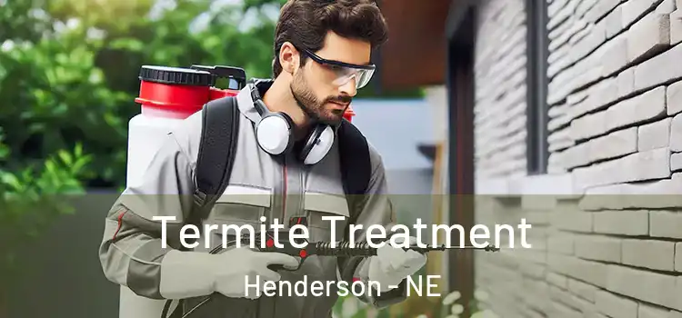  Termite Treatment Henderson - NE