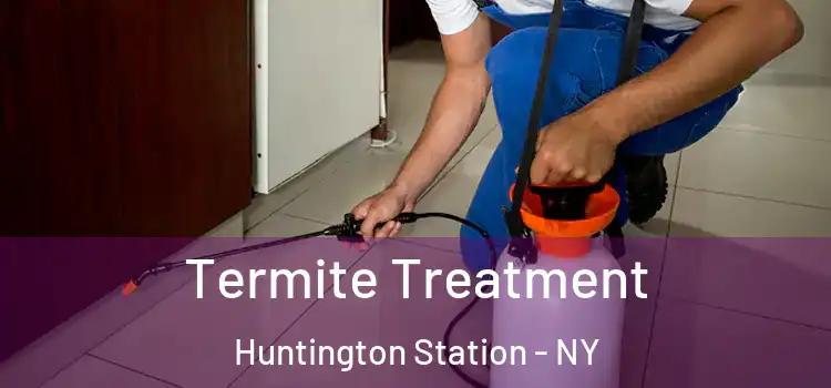  Termite Treatment Huntington Station - NY