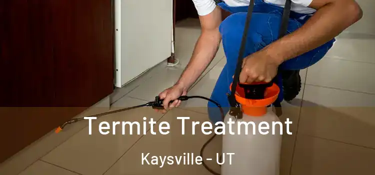  Termite Treatment Kaysville - UT