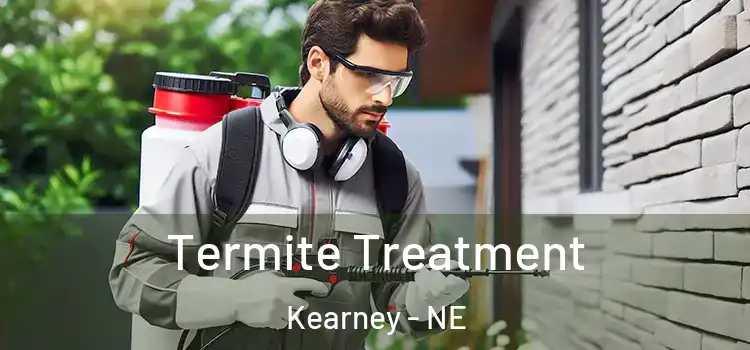  Termite Treatment Kearney - NE