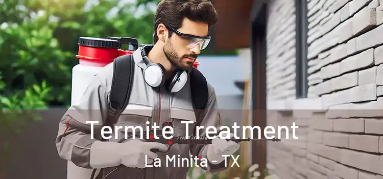  Termite Treatment La Minita - TX