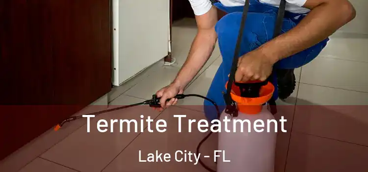  Termite Treatment Lake City - FL