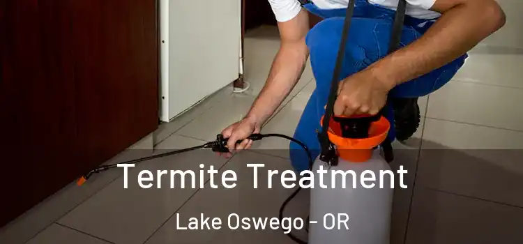 Termite Treatment Lake Oswego - OR