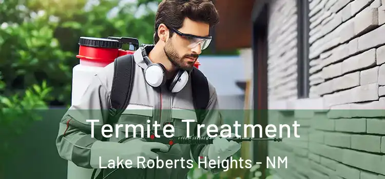 Termite Treatment Lake Roberts Heights - NM