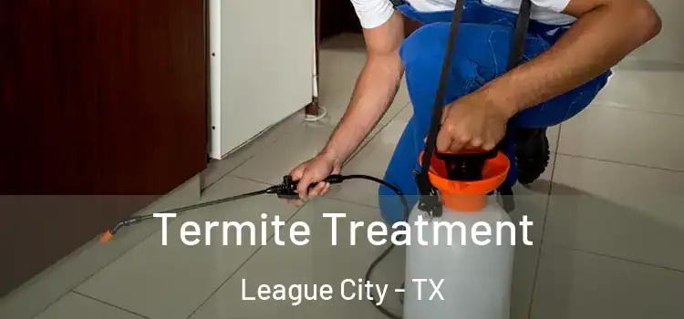 Termite Treatment League City - TX