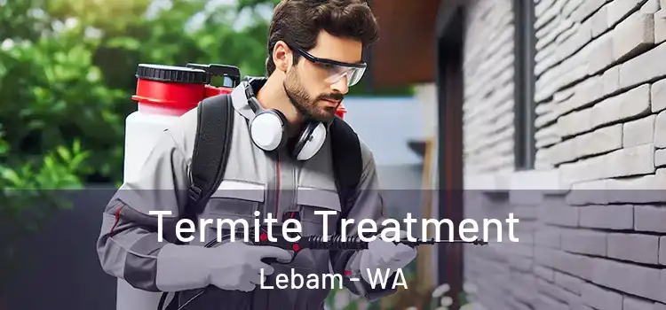  Termite Treatment Lebam - WA