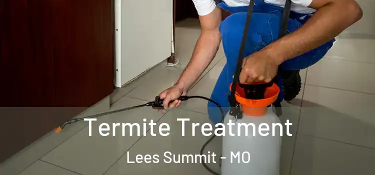  Termite Treatment Lees Summit - MO